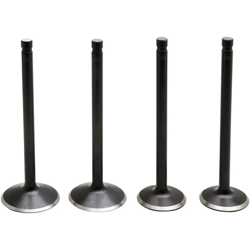 Black Diamond  Engine Valve Kit