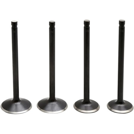 Kit soupapes moteur Black Diamond™