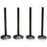 Black Diamond  Engine Valve Kit