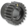Pinion Gear