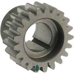 Pinion Gear