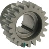 Pinion Gear