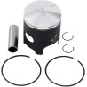 Piston Kit for 2 Stroke