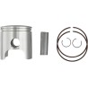 Piston Kit for 2 Stroke