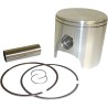 Piston Kit for 2 Stroke