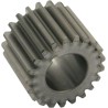 Pinion Gear