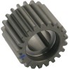 Pinion Gear