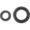Hot Rod Seal Kit