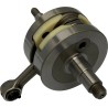 Crankshaft Assembly for 2 Stroke