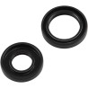 Crankshaft Oil Seal Kit