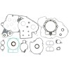 Complete Gasket and Oil Seal Kit