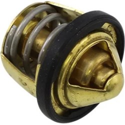 Replacement Thermostat - Polaris