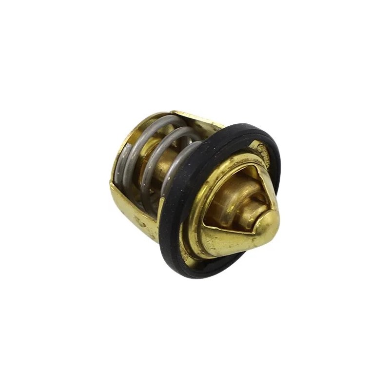 Thermostat de rechange - Polaris