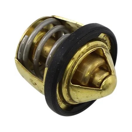 Thermostat de rechange - Polaris
