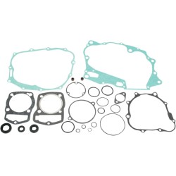 Complete Gasket and Oil Seal Kit