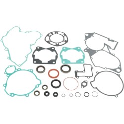 Complete Gasket and Oil Seal Kit