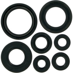 Motor Oil Seals