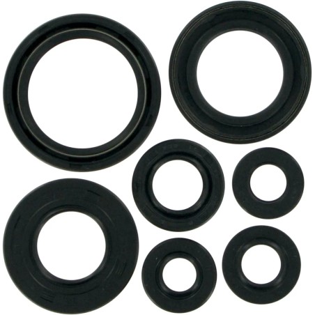 Motor Oil Seals