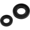 Crankshaft Oil Seal Kit