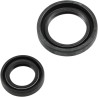 Crankshaft Oil Seal Kit