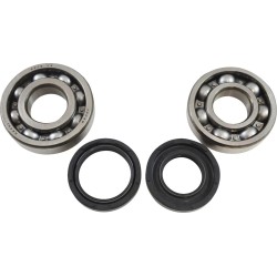Main Bearing and Seal Kit