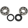 Main Bearing and Seal Kit