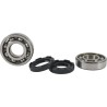Main Bearing and Seal Kit