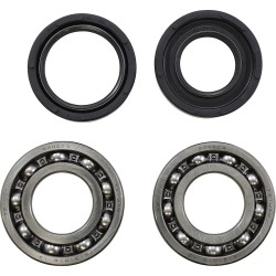 Main Bearing and Seal Kit