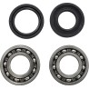Main Bearing and Seal Kit