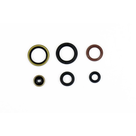 Engine Oil Seal