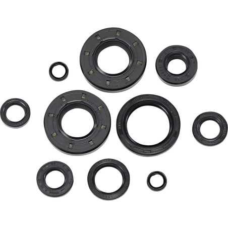 Oil Seal Kit
