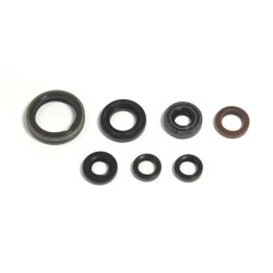 Engine Oil Seal