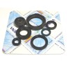 Engine Oil Seal