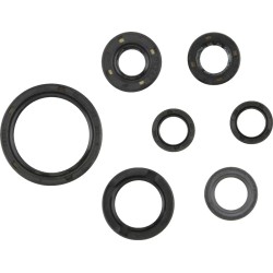 Oil Seal Kit