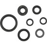 Oil Seal Kit