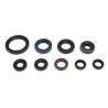 Engine Oil Seal
