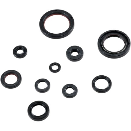 Oil Seal Kit