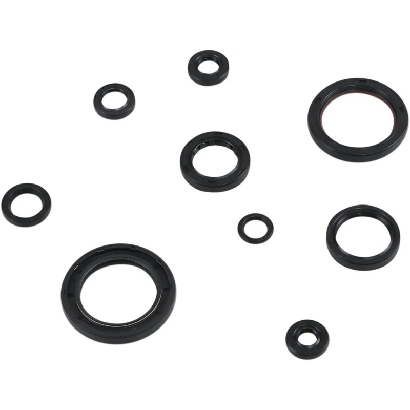 Oil Seal Kit