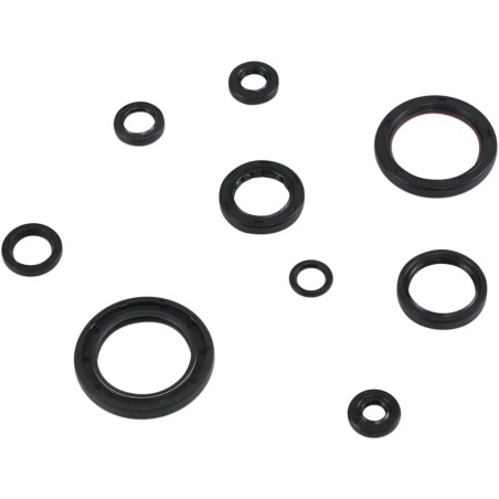 Oil Seal Kit