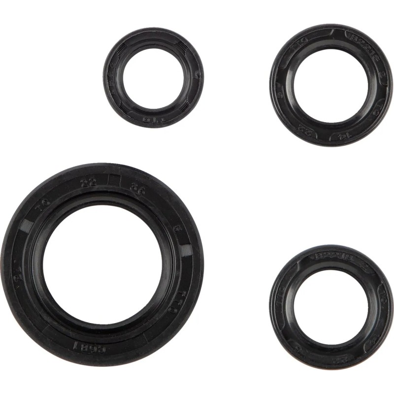 Oil Seal Set