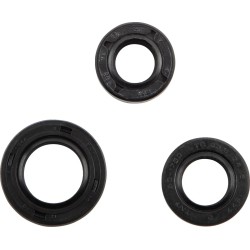 Oil Seal Kit
