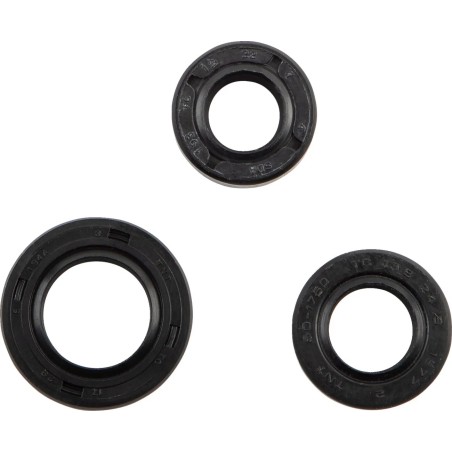 Oil Seal Kit