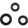 Oil Seal Kit