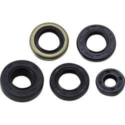 Oil Seal Kit