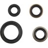 Motor Oil Seals