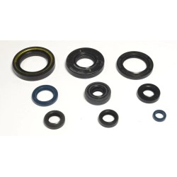 Engine Oil Seal