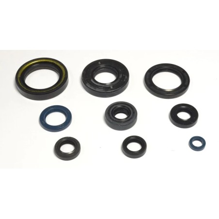 Engine Oil Seal