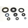 Engine Oil Seal