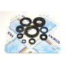 Engine Oil Seal