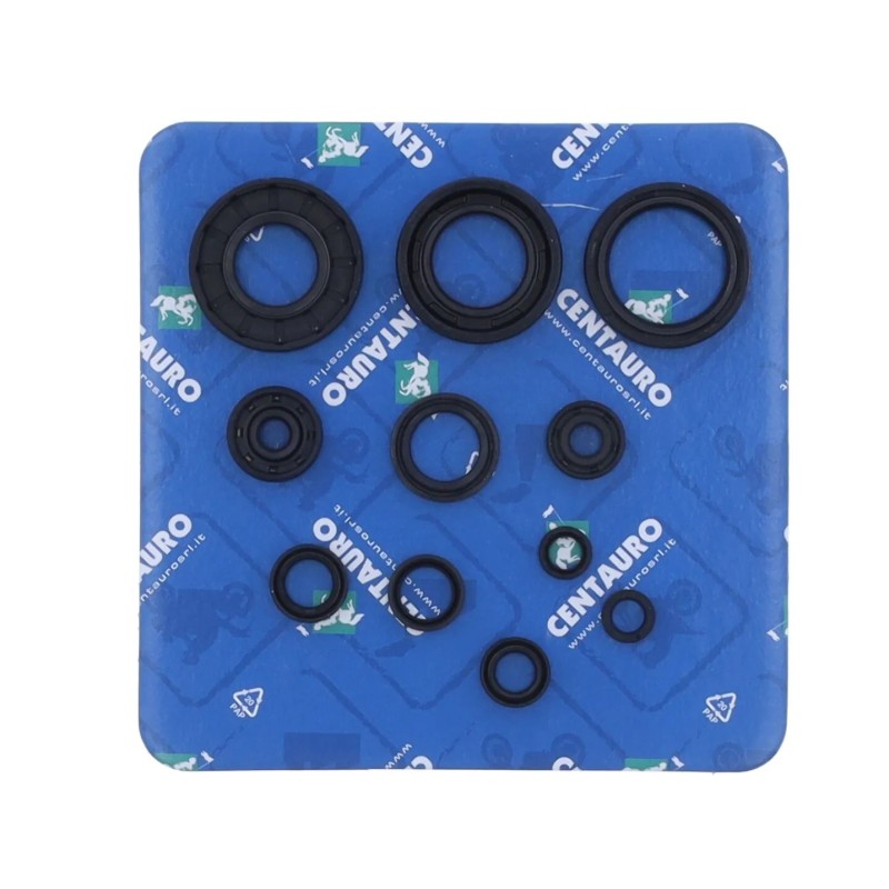 Oil Seal